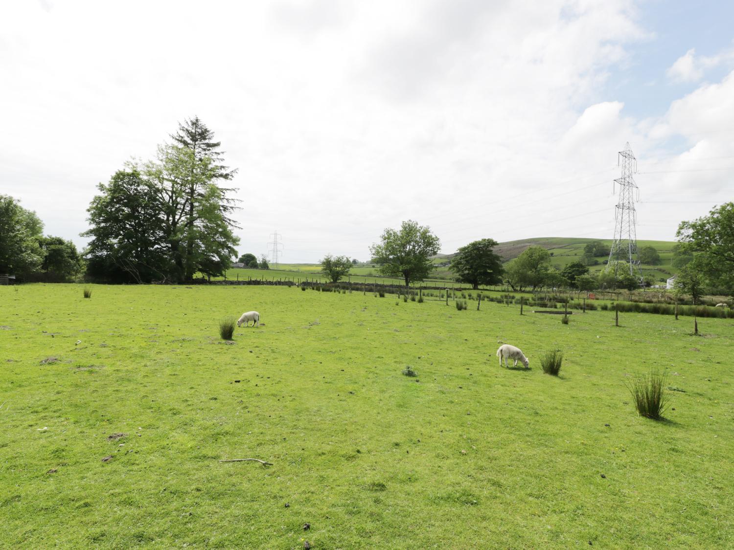 Bwlch Yr Awel Cottage Brynkir 外观 照片